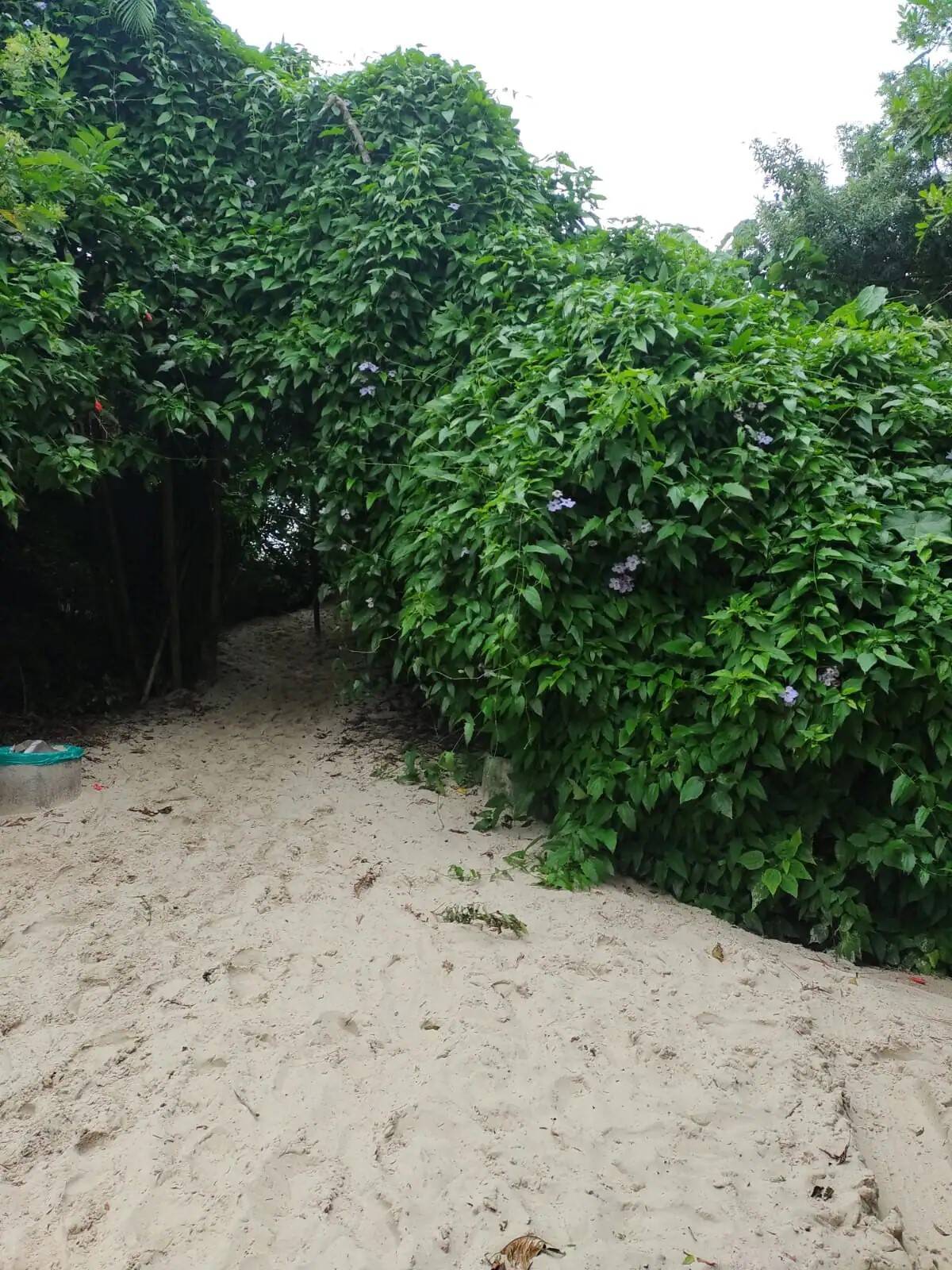 Apartamento para Temporada em Florianópolis - 23