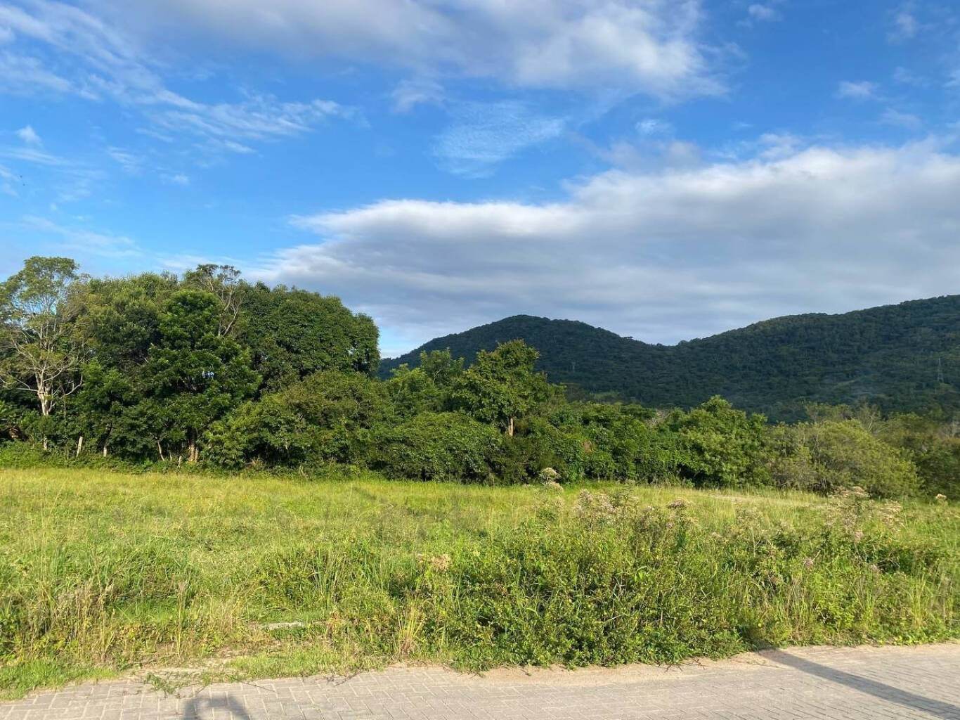 Terreno em condomínio para Venda em Florianópolis - 8