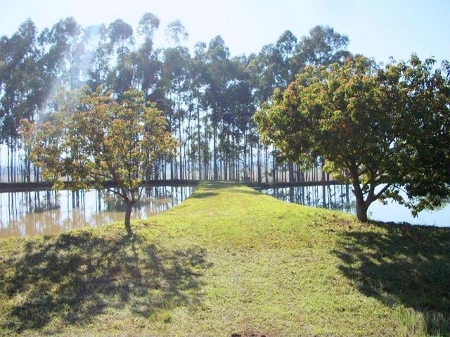 Fazenda para Venda em Santana do Itararé - 6