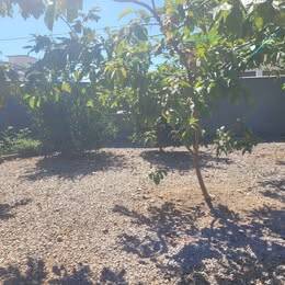 Casa para Locação em Florianópolis - 16