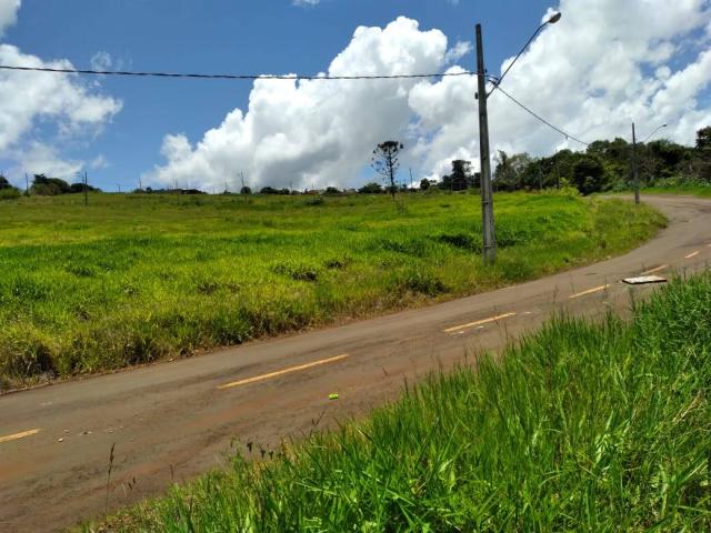 #600-L447 - Terreno para Venda em Rolândia - PR - 1