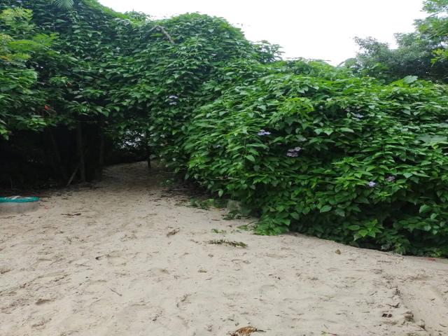Apartamento para Temporada em Campeche - 23