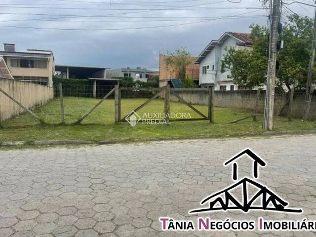 #645/714060 - Terreno para Venda em Florianópolis - SC - 1