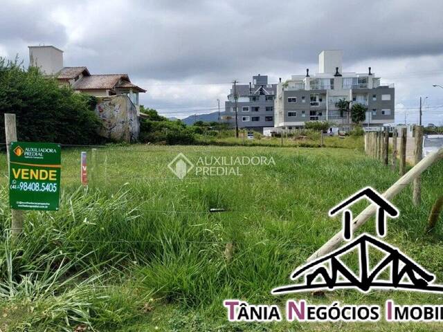 #649/461461 - Terreno para Venda em Florianópolis - SC - 1