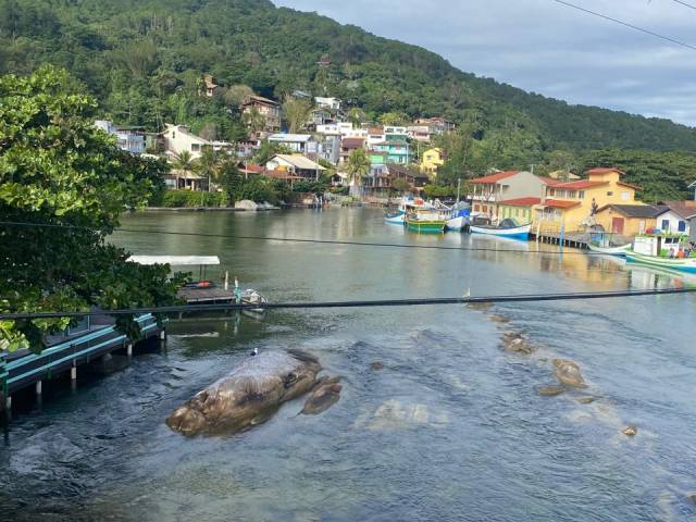 Casa para Venda em Barra da Lagoa - 23