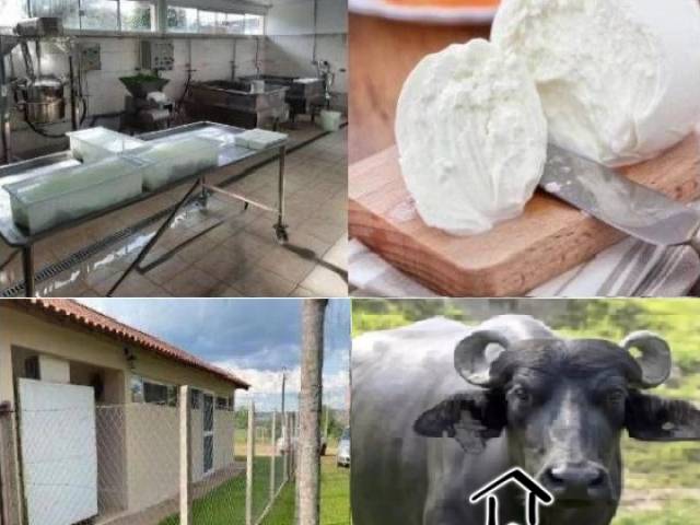 Fazenda para Venda em Campininha - 5