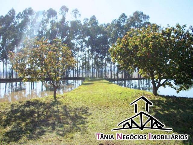Fazenda para Venda em Campininha - 6
