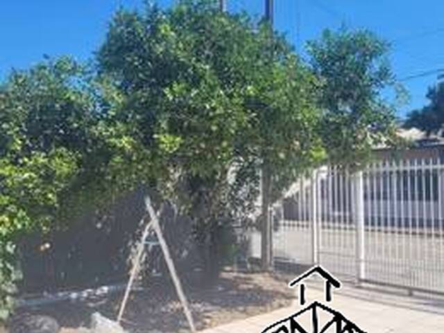 Casa para Locação em Carianos - 8