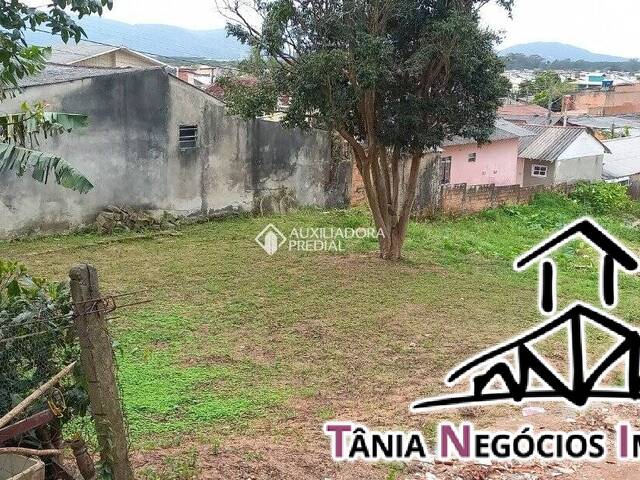Área para Venda em Tapera da Base - 4