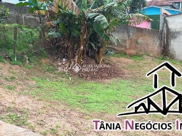 Área para Venda em Tapera da Base - 5
