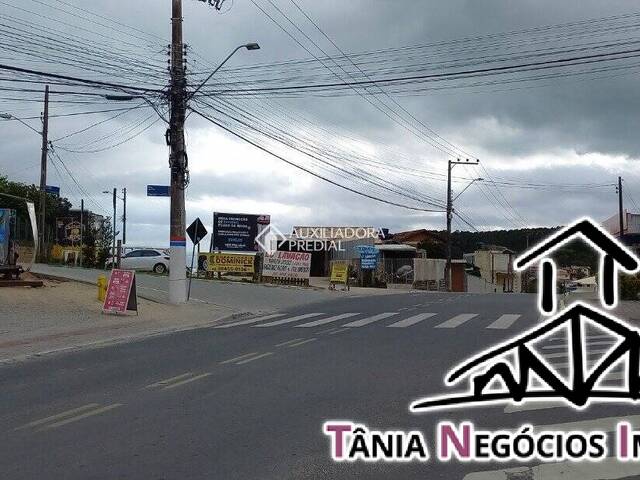 Área para Venda em Tapera da Base - 9