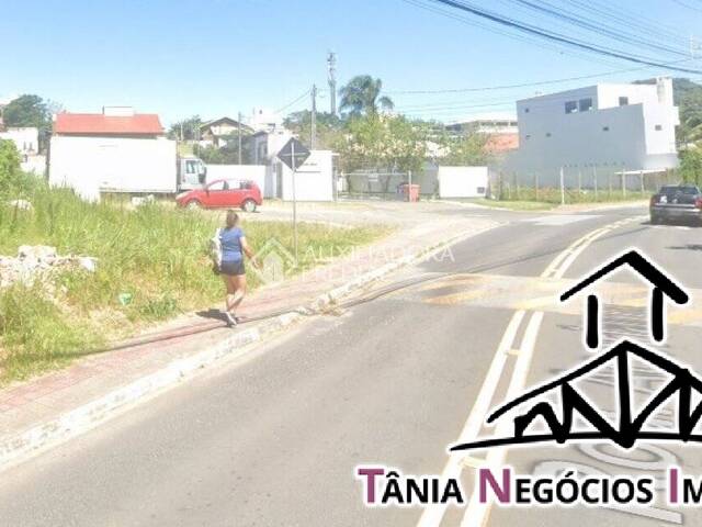 Terreno para Venda em Tapera da Base - 4